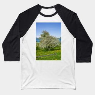 Flower meadow with fruit trees in spring, Bad Wiessee, Tegernsee Baseball T-Shirt